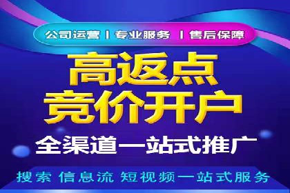 行业领先企业的SEM代运营经验分享