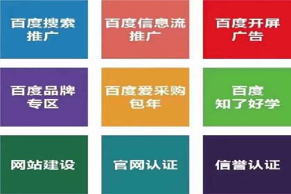 某电商平台的SEM代运营策略及效果评估